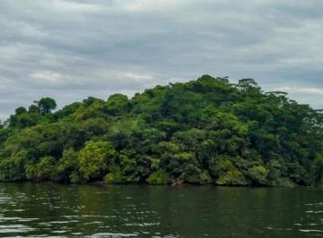 foto6.jpeg · Deslumbrante terreno residencial para venda em Bracui - Cunhambebe, 38,250m²