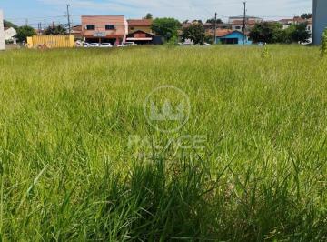 Terreno · 240m² · 1 Quarto · 1 Vaga · Terreno para alugar em Santa Terezinha de 240.00m² com 1 Quarto, 1 Suite e 1 Garagem