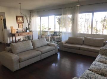 Imagem Principal · Apartamento à venda com 3 quartos em Conjunto Residencial Morumbi, São Paulo