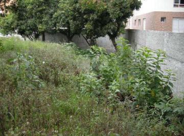 Imagem Principal · TERRENO NA VILA PROGREDIOR/ BUTANTÃ