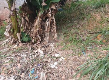 Imagem Principal · Terreno à venda em Vila Indiana, São Paulo