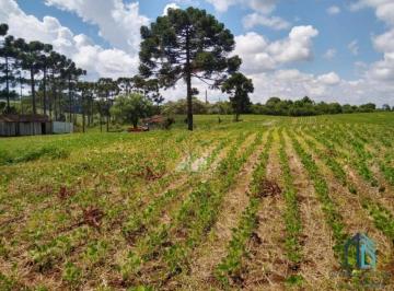 Foto 01 · Terreno Rural 184.057,75 m² (18,4 hectares) Caçador/SC