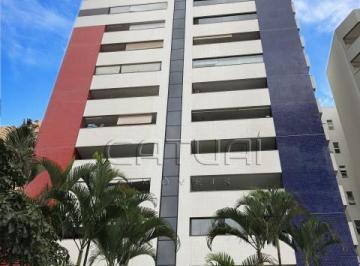 Apartamento Para Alugar Solar Rembrandt Londrina · Apartamento Para Alugar Solar Rembrandt Londrina