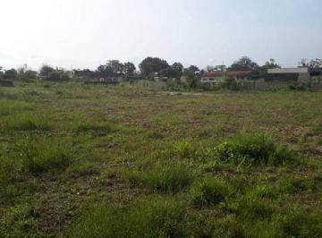 1f17236cbe80b853bbc500948c6f2c03f02c34fa · Terreno à venda, 2000 m² por R$ 320.000,00 - Estância Leão Novaes - Peruíbe/SP