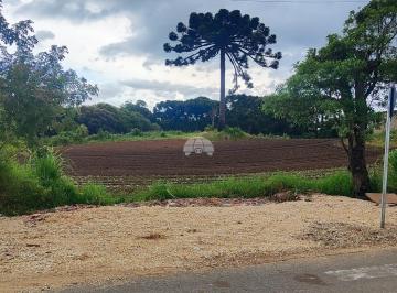 Comercial · 4200m² · Galpão / Depósito / Armazém para venda em Gabirobal de 4200.00m²