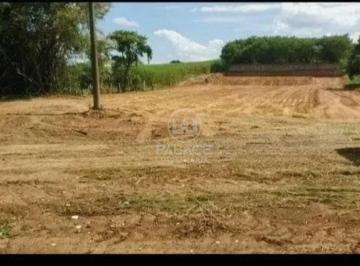 Terreno · 2113m² · 1 Quarto · 1 Vaga · Terreno para alugar em Pau D'alhinho de 2113.00m² com 1 Quarto, 1 Suite e 1 Garagem