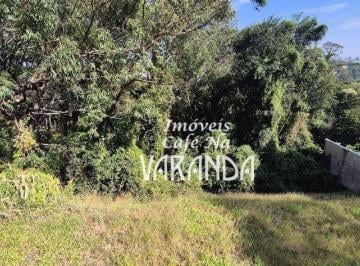 ada2921be88f2de2b3aa84aa62e56c61958651e1 · UM VERDE EXUBERANTE ....À VISTA !