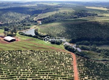 Imagem 1 · Fazenda para venda em Área Rural de Avaré, Avaré