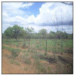img0 · Imóvel para investir — Terreno no Parque Alvorada Ii, Luziania - GO, N. SN LOTE 10 QD 266 | Venda Di