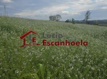 Foto 01 · Venda de Sítio de 241.493,60 m² em Piedade-SP, bairro Godinhos: Oportunidade Única!