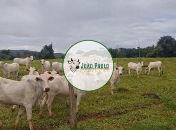 Rural , Padre Bernardo · Fazenda a venda em Padre Bernardo -517 Hectares - Toda cercada - Plana