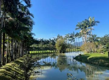Rural · Sítio à venda no bairro Divinéia em Rio dos Cedros/SC