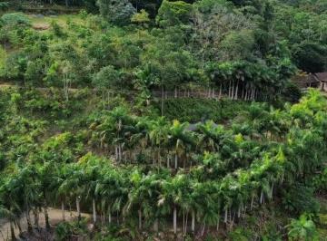 Rural · Sítio à venda no bairro São Bernardo em Rio dos Cedros/SC