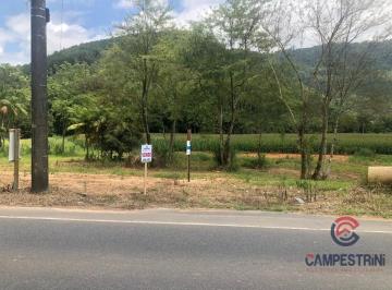 Rural · Sítio à venda no bairro São José em Rio dos Cedros/SC