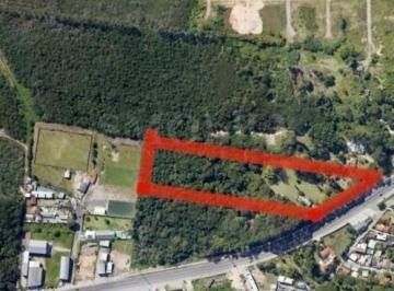 16358_i2Q40scGZ82E9i32l_1635863f611fec70fa.jpg · Imoveis - em Vargem do Bom Jesus