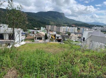 55864_iZ673u2_5586468b6f8e629b67.jpg · Imoveis - em Pedra Branca