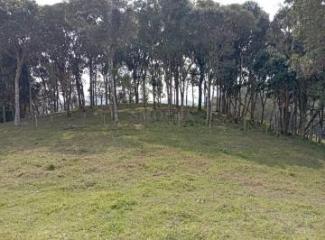 54339_i5V99t5_54339679b9ec2a559b.jpg · Imoveis - em Santo Amaro da Imperatriz
