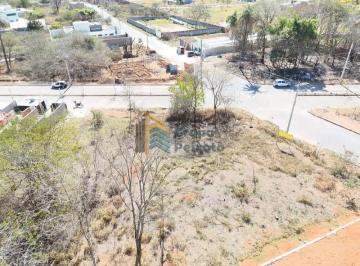 Terreno · 406m² · Terreno para venda em Teixeirinha de 406.00m²