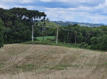 Rural · 20600m² · 1 Quarto · Fazenda / Sítio para venda em Tamaz Coelho de 20600.00m² com 1 Quarto