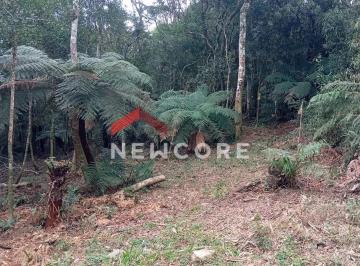 Terreno · 600m² · Lote em Rua das Cutias - Colinas - São Francisco de Paula/RS