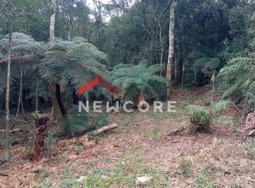 Terreno · 600m² · Lote em Rua das Cutias - Colinas - São Francisco de Paula/RS