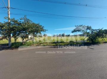 Terreno · 500m² · Terreno para venda em Jardim Roberto Selmi Dei de 500.00m²