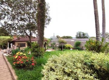 Terreno · 388m² · Terreno para venda em VILA MOLETTA de 387.65m²