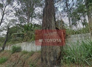 Terreno · 242000m² · Terreno para venda em Jardim São Domingos de 242000.00m²
