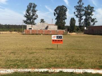 338b7d1613807d1624ffb60048c8f14e59774e2b · Terreno à venda, 598 m² por R$ 165.000,00 - Green Ville ll - Naviraí/MS