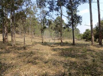 Terreno · 20000m² · Terreno para venda em Cachoeira de 20000.00m²