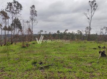 0 · Área à Venda 26.000 m², na Estrada do Bugio, Louveira.
