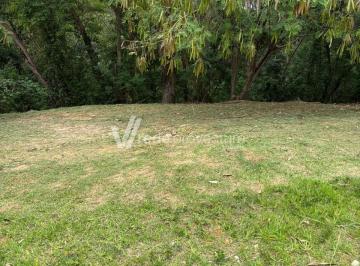 0 · Terreno Vista alegre cafe