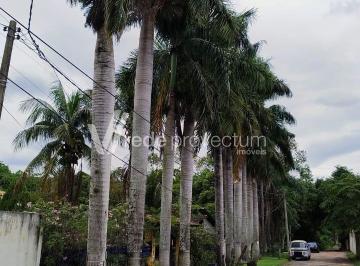 0 · chácara à venda em Residencial Burato