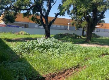 0 · terreno para aluguel em Santa Terezinha