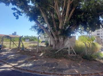 0 · terreno para aluguel em Jardim Primavera