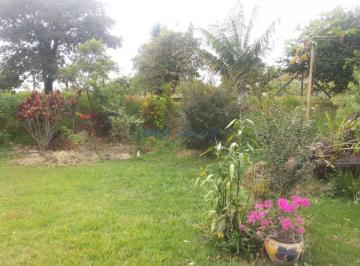 0 · sítio à venda em Reforma Agrária