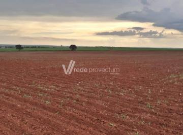 0 · sítio à venda em Fazenda Velha