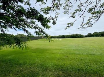 2649acce76afb8b832201c40cf45f44b4b5f84b4 · Terreno Residencial à venda, Centro, Porto Feliz - TE1007.
