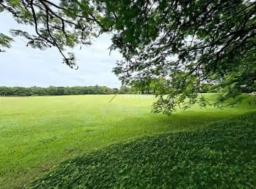 1906855a199160f73ad6db0519ad56cb81a3b277 · Terreno Residencial à venda, Centro, Porto Feliz - TE0247.