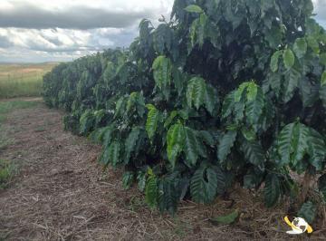 Rural · FAZENDA COM 205HEC PRA CAFÉ BEIRA RIO DOURADOS