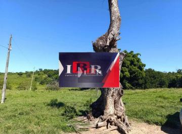 651cc6a12c56482a0258c27255f9f4c2da844270 · Fazenda em Camapuã - MS