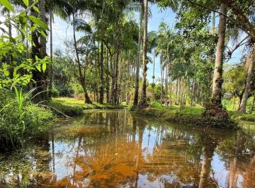 Imagem 1 · Fazenda para venda em Centro, Pontal do Paraná