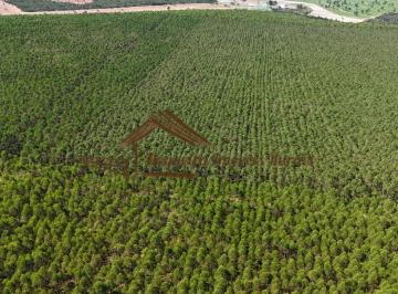 Rural , Botucatu · Fazenda com 509 hectares na região de Botucatu-SP