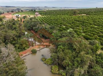 Rural , Avaré · Sitio com 30 alqueires com laranja em Águas de Santa Barbara-SP