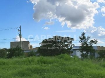 Terreno · 241m² · Terreno para venda em Jardim Cristo Redentor de 241.00m²