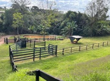 10690_i244K95iRL6_106906a1decbdbdfb3.jpg · Haras | Chácara | Rolândia