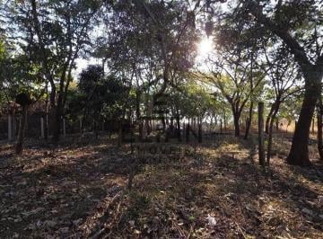 Foto 01 · Terreno maravilhoso com 405,48m² no bairro Bom Clima , arborizado, desfrute de um lindo por do sol