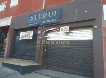 11786713287770.jpg · Imoveis - no Jardim D'Abril