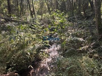 Rural · 3339m² · Chácara à venda no bairro Centro - Balsa Nova/PR