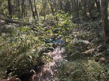 Rural · 3339m² · Chácara à venda no bairro Centro - Balsa Nova/PR
